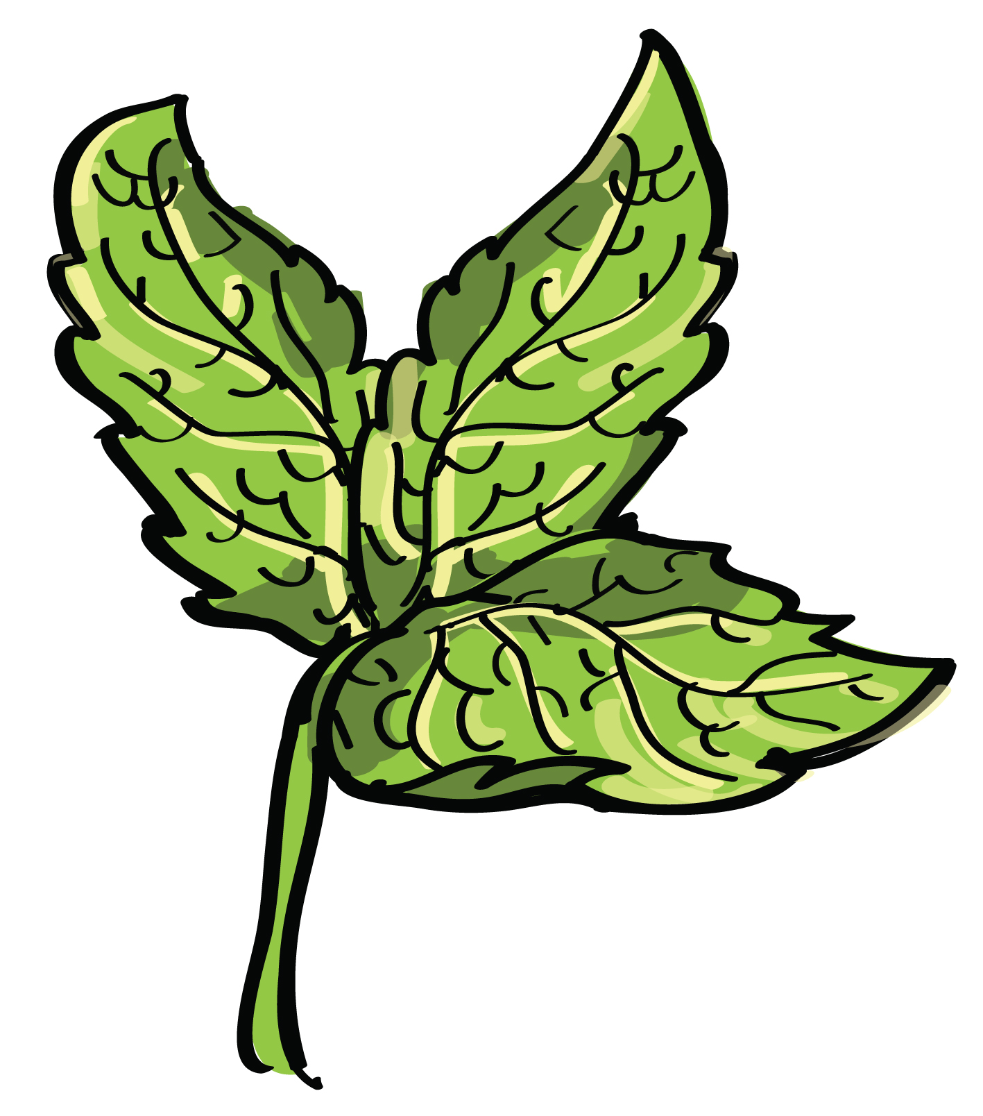 Mint Sprig